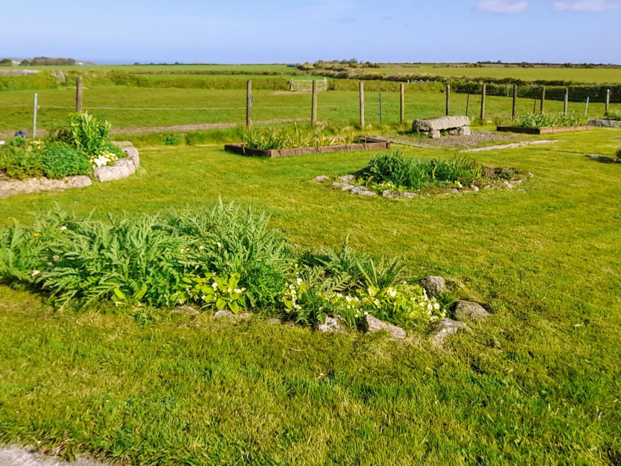 Ash Tree Cottage Carnbrea エクステリア 写真